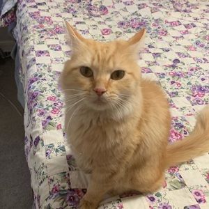 Meet your Posher, Danny